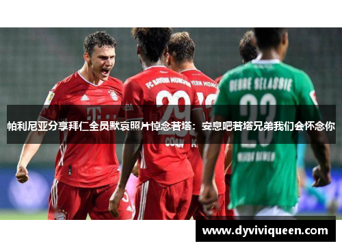 帕利尼亚分享拜仁全员默哀照片悼念若塔：安息吧若塔兄弟我们会怀念你